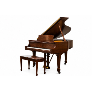 Piano Steinway & Sons M