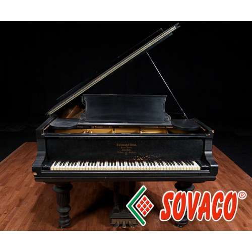 Steinway & Sons D 1895