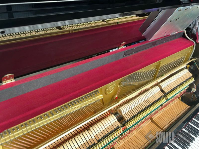 Chi tiết thân vỏ Yamaha MX100