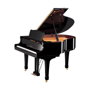 Grand Piano Yamaha G2 Giá Rẻ