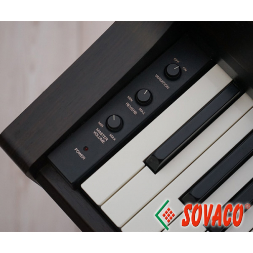 Đàn Piano Điện Yamaha CLP-810